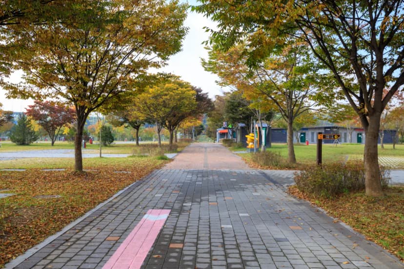 충주 목계솔밭 캠핑장 사진 12