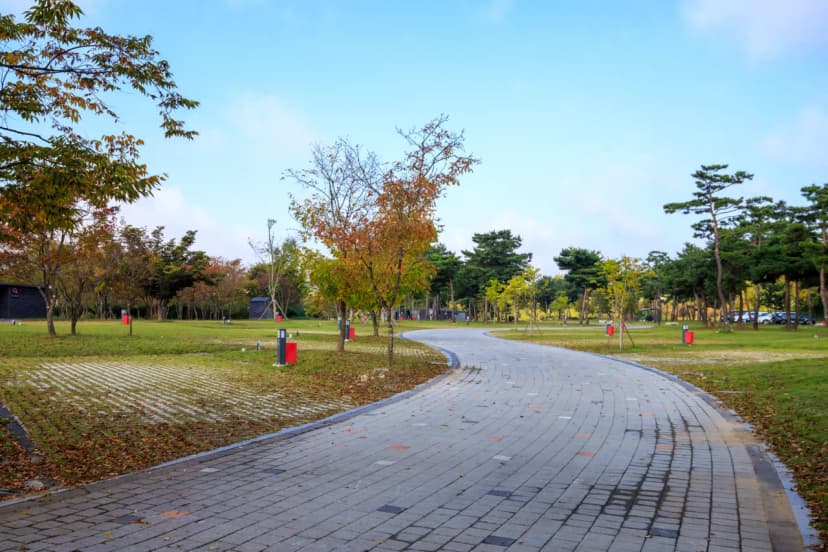충주 목계솔밭 캠핑장 사진 13
