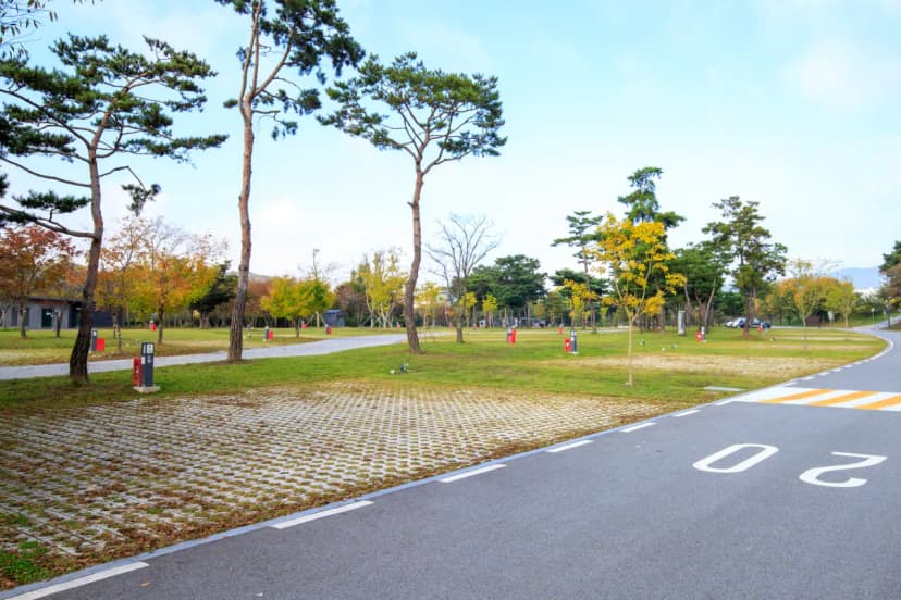 충주 목계솔밭 캠핑장 사진 14