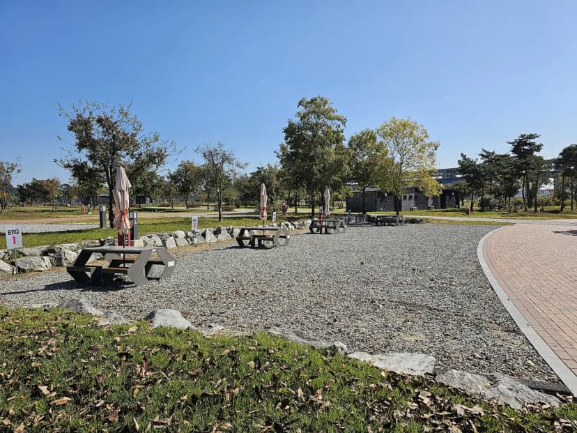 충주 목계솔밭 캠핑장 사진 20