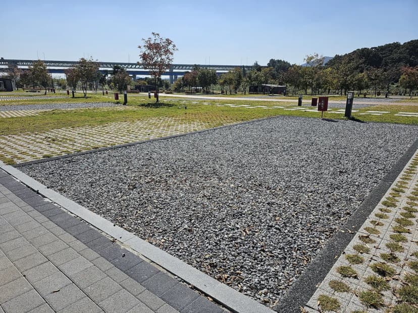 충주 목계솔밭 캠핑장 사진 21