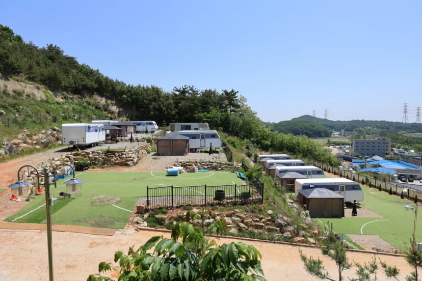 하버드카라반 사진 6