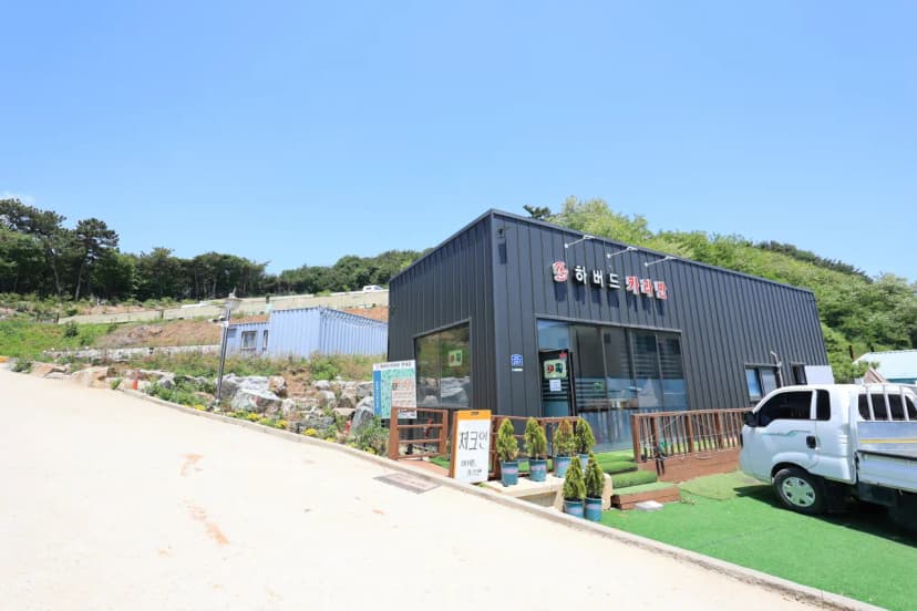 하버드카라반 사진 14