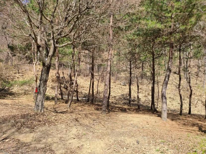 홍천에코밸리 캠핑장 사진 2