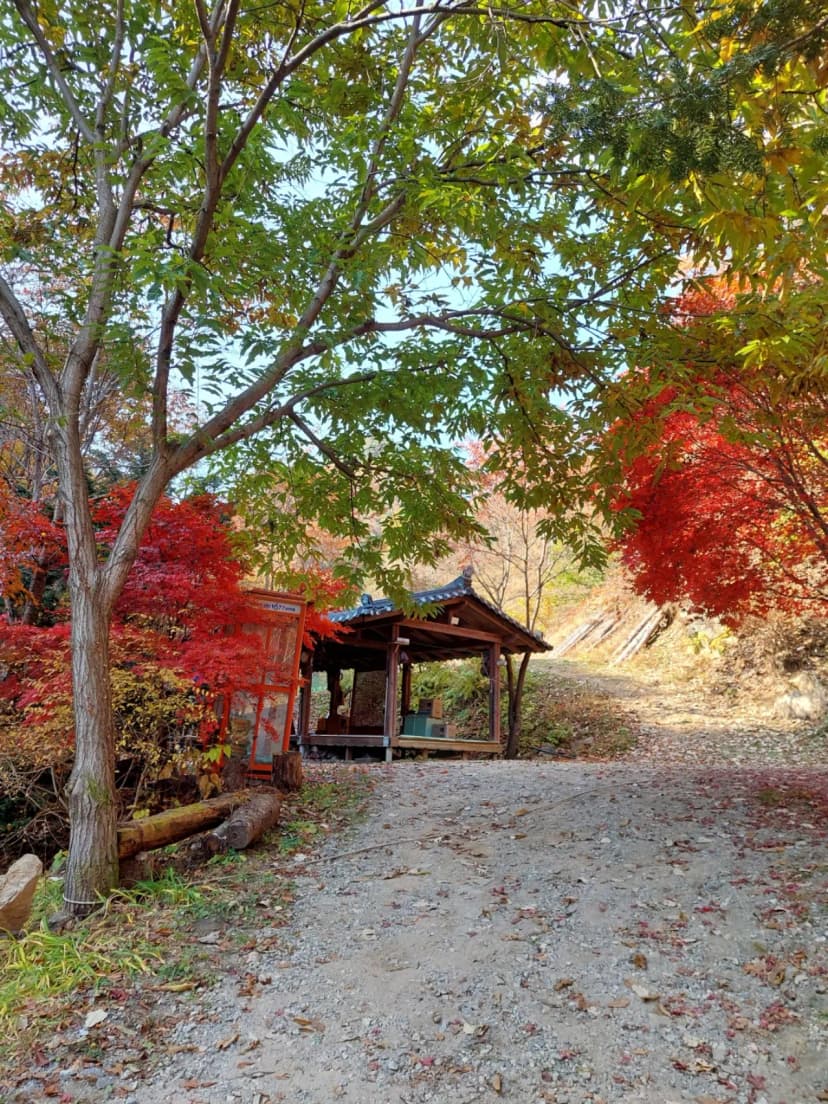 홍천에코밸리 캠핑장 사진 3