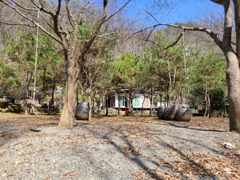 홍천에코밸리 캠핑장 사진 5