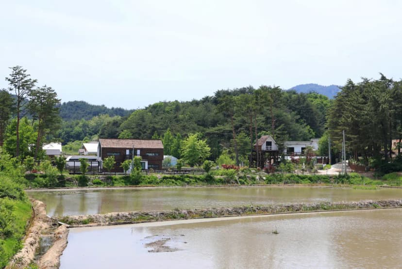 스테이NAMU(스테이나무) 사진 5