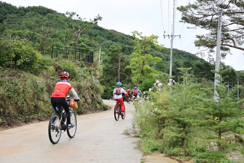 마루지 캠프 사진 17