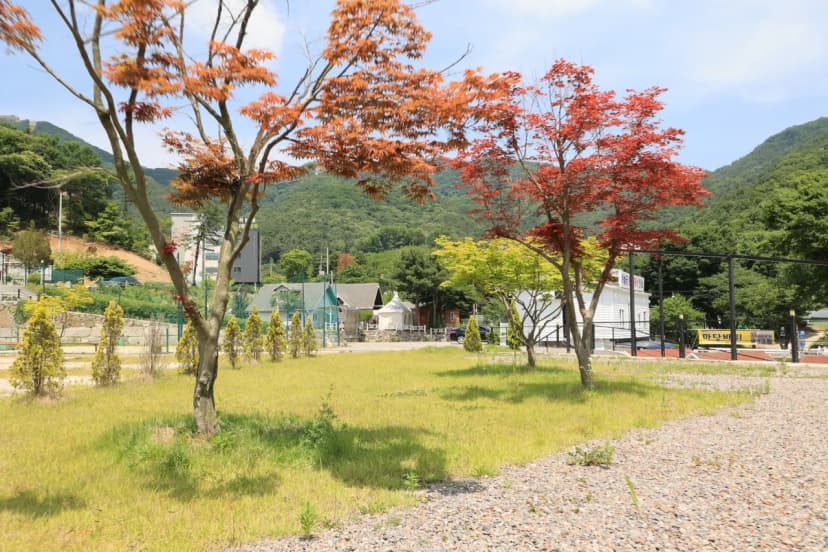 개명연수원 캠핑장 사진 10