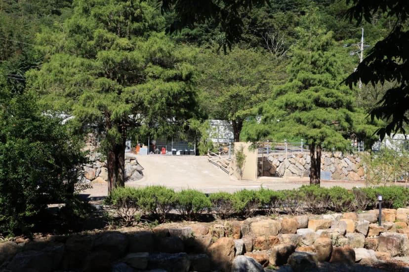 지리산하이웨이 캠핑장 사진 7