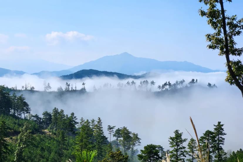 단양오지캠핑장 사진 5