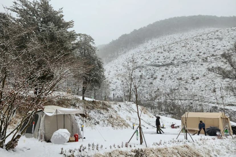단양오지캠핑장 사진 6