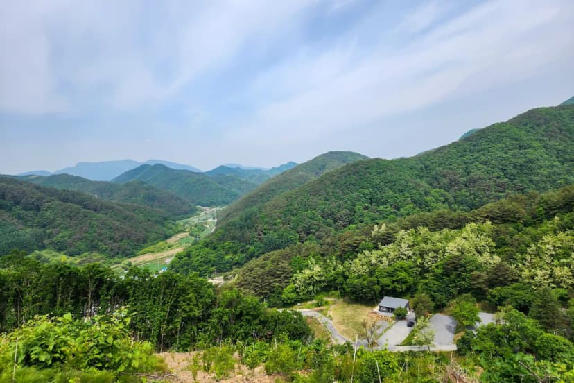 단양오지캠핑장 사진 14