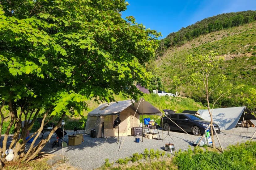 단양오지캠핑장 사진 16