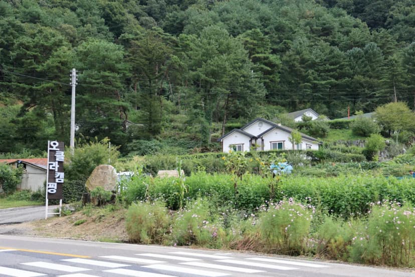 오클라 캠핑장 사진 11