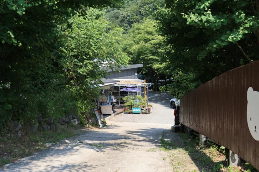 캠프1975 사진 4