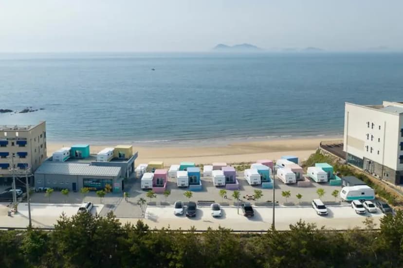 보니타 카라반