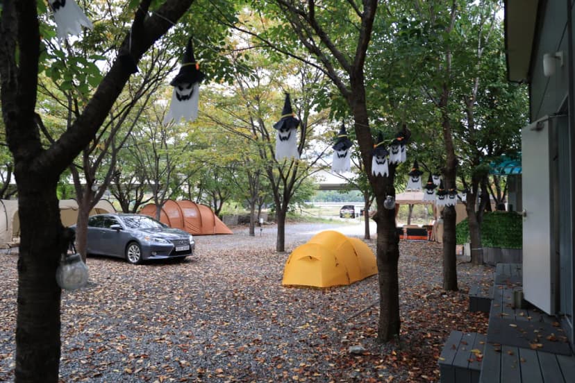캠핑 돗가비 사진 7
