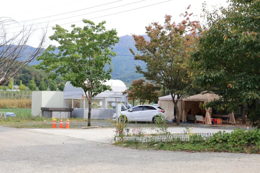 캠핑 돗가비 사진 15