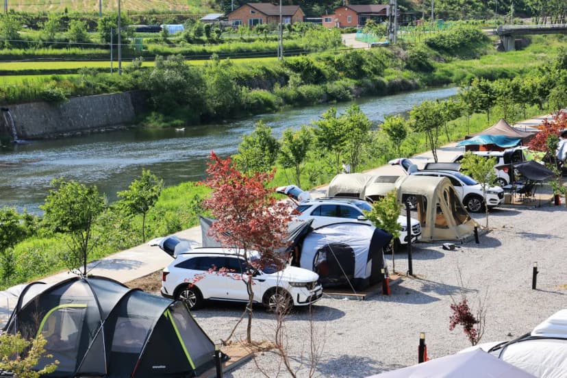 동지화캠핑장 사진 5
