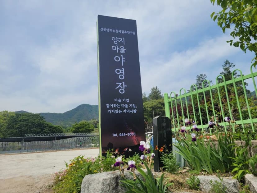 양지마을야영장 사진 4
