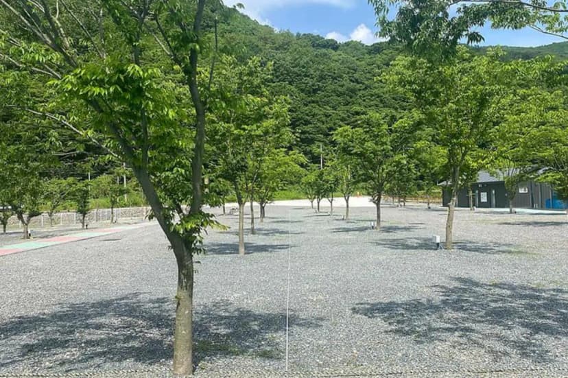 별빛 은하수 캠핑장 사진 3