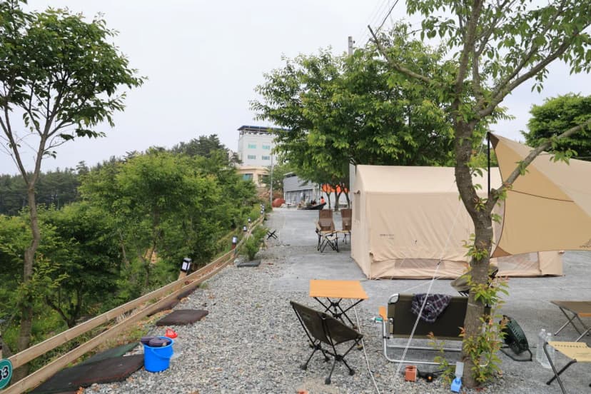 가로림만라모스야영장 사진 8