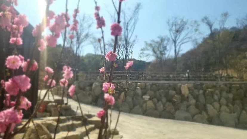 다문188캠핑장 사진 3