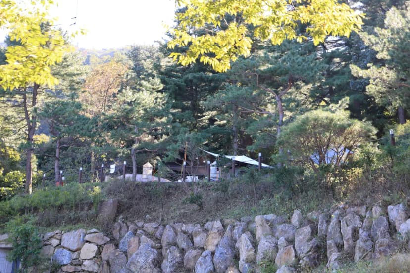 포레스트벨리캠프 사진 10