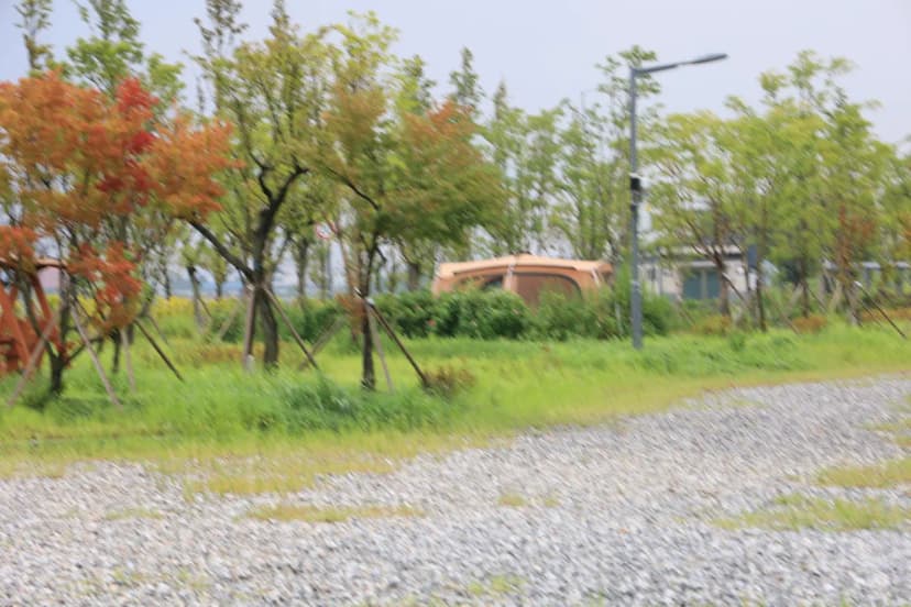 평택항 국민여가캠핑장 사진 8