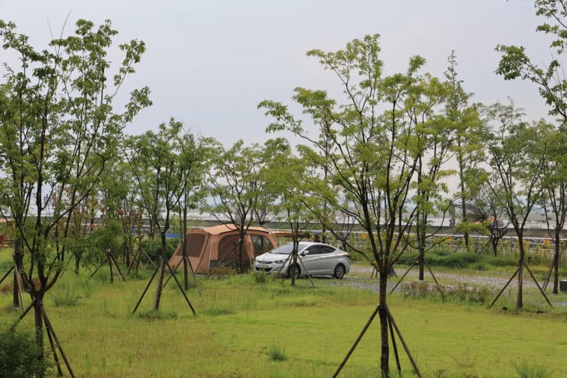 평택항 국민여가캠핑장 사진 15