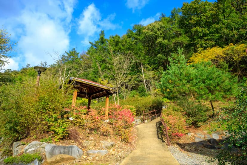 생거진천 자연휴양림 사진 12