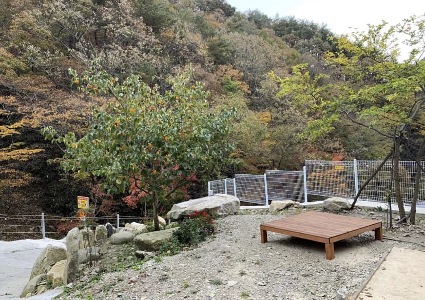 청학동별빛캠핑장 사진 5