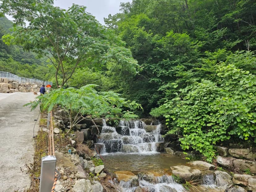 청학동별빛캠핑장 사진 8