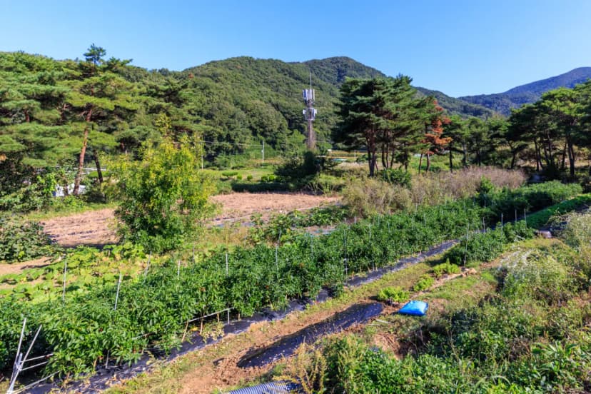 초롱별 야영장 사진 6