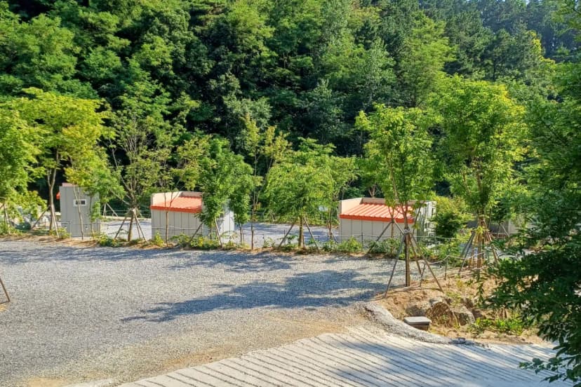 몽상핀 사진 9