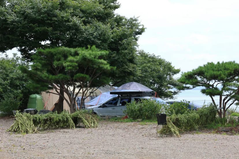 매향리 캠핑장 사진 10