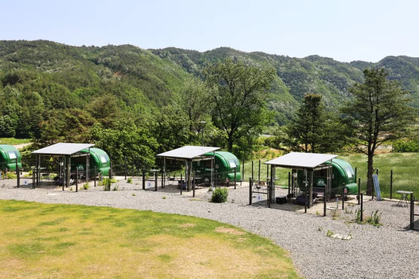 리라 캠프 사진 16