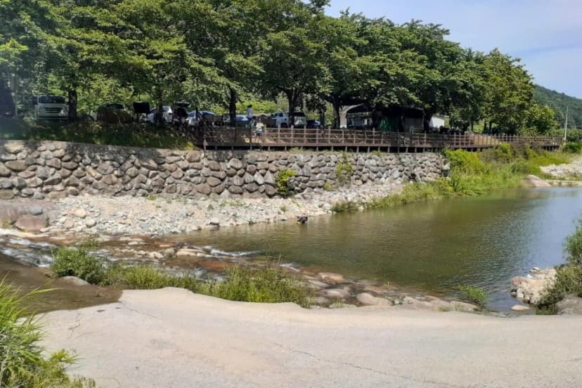다시캠핑장위드펫 사진 4