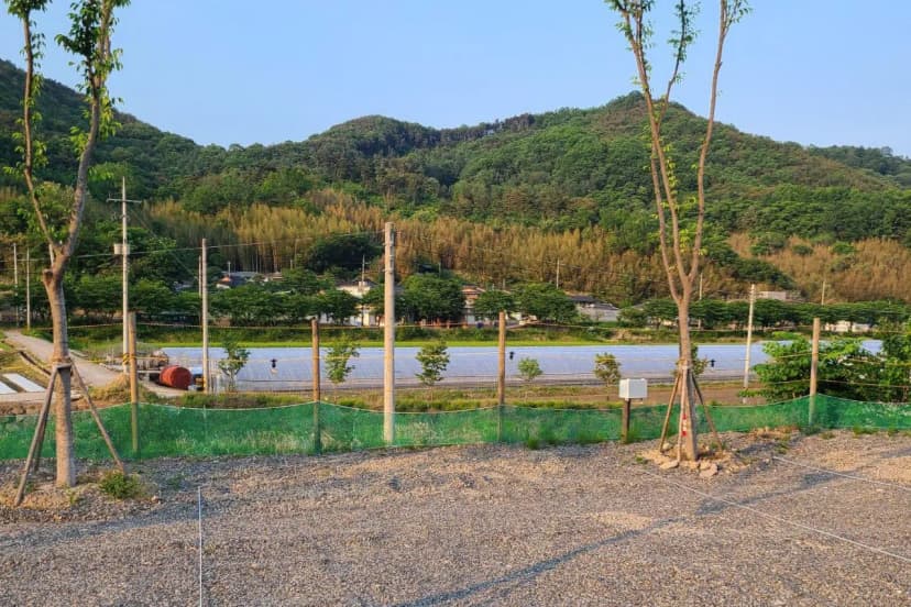 다시캠핑장위드펫 사진 9