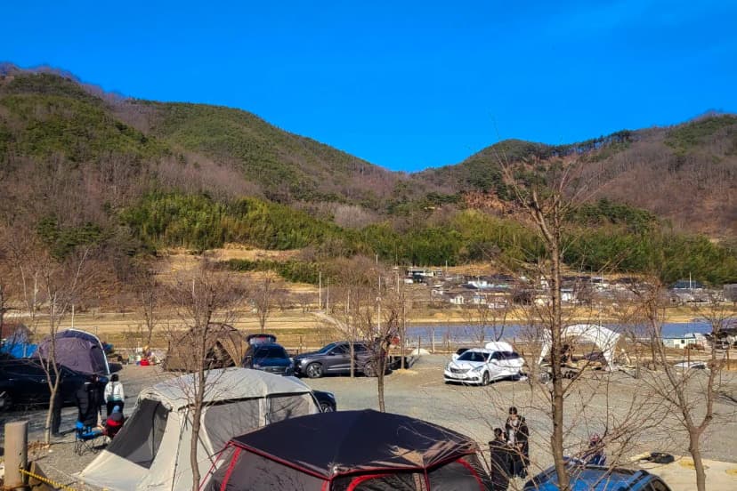 다시캠핑장위드펫 사진 12