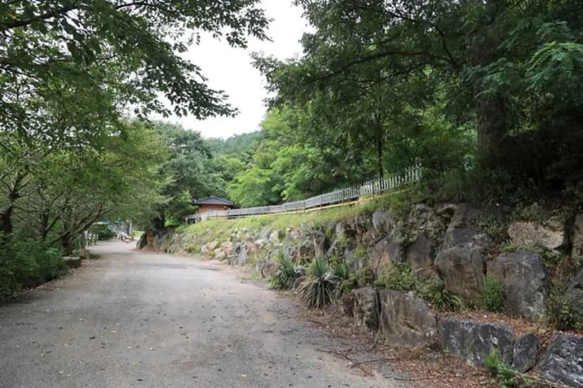 서운산캠핑장