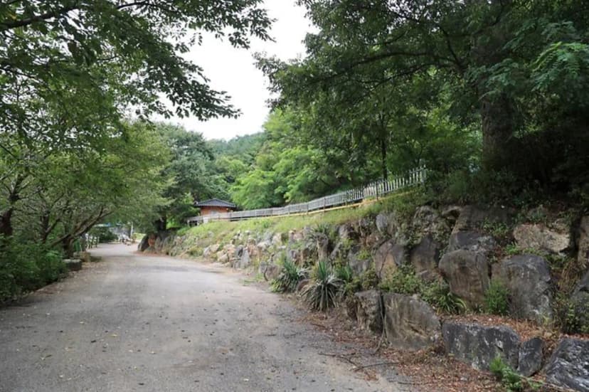 서운산캠핑장 사진 3