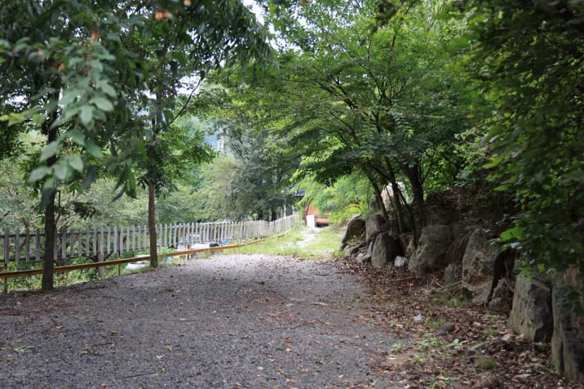 서운산캠핑장 사진 4