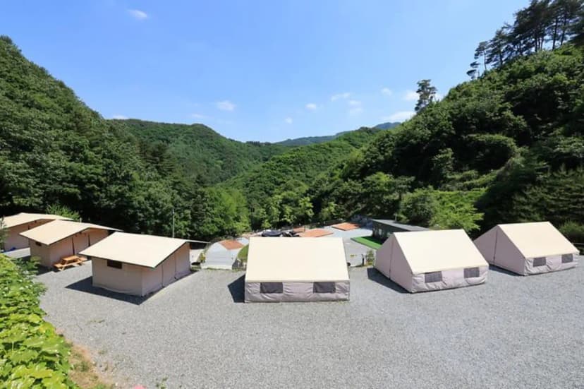 비발디캠핑파크 미루나무점 사진 2
