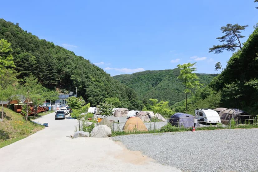 비발디캠핑파크 미루나무점 사진 3