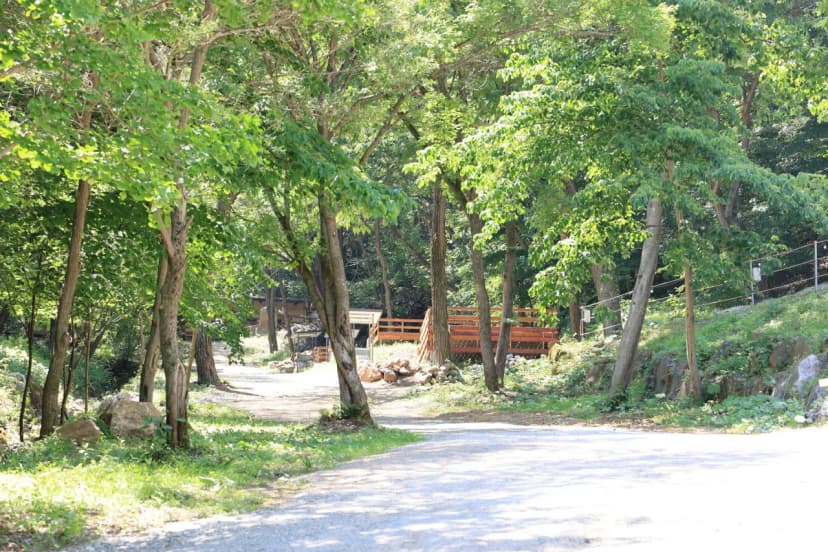 비발디캠핑파크 미루나무점 사진 4