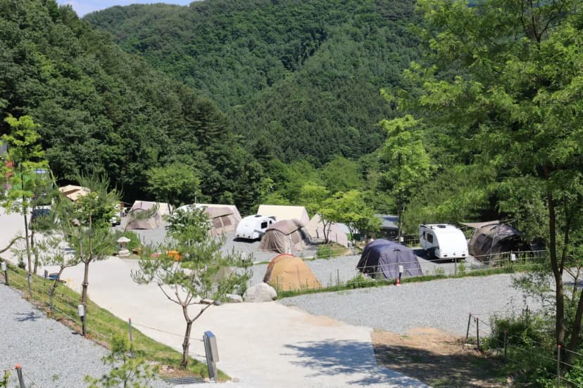 비발디캠핑파크 미루나무점 사진 6