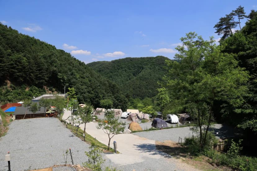 비발디캠핑파크 미루나무점 사진 7