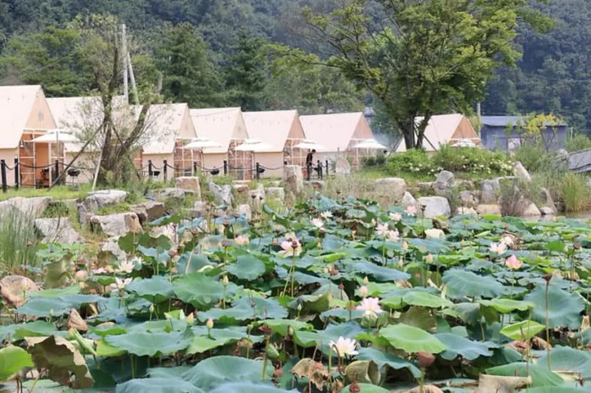 (주)더캠핑야미